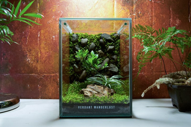 【生态缸－石隐杜鹃】微景观 室内植栽 礼物 办公室摆设 - 植栽/盆栽 - 玻璃 绿色