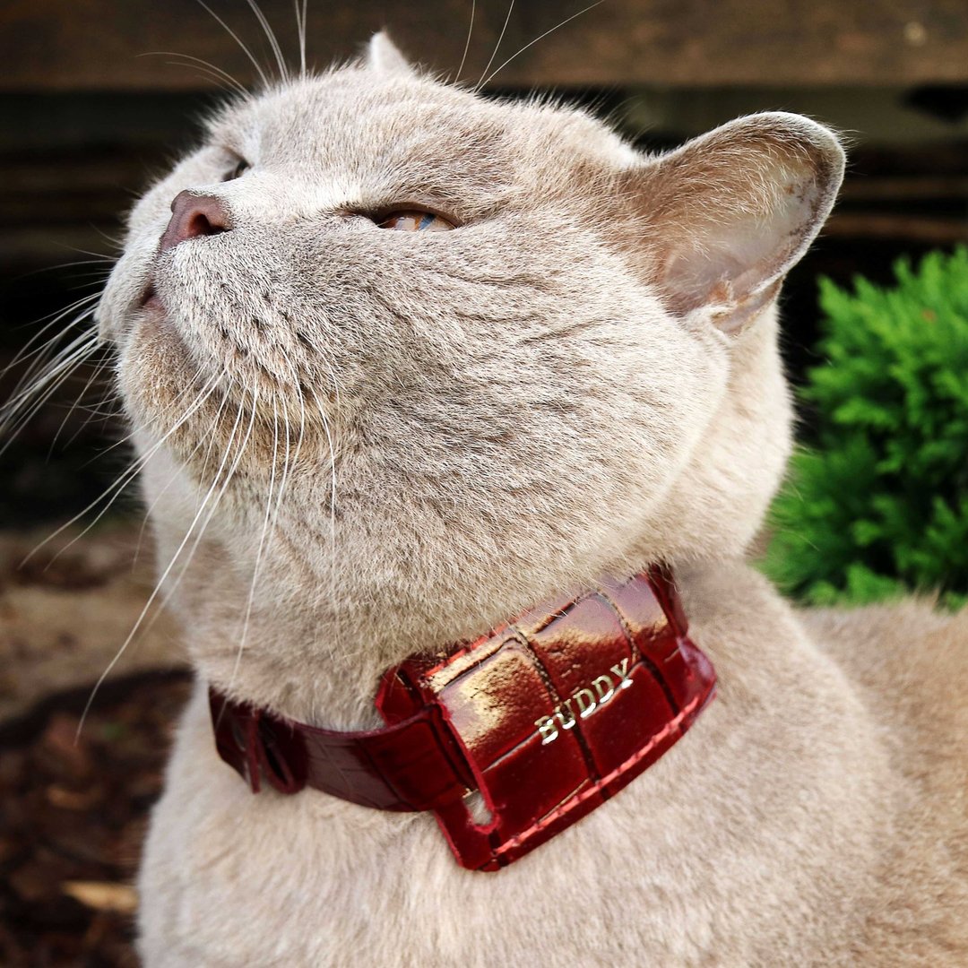 AirTag case - AirTag cat, dog collar - airtag holder - 项圈/牵绳 - 真皮 咖啡色