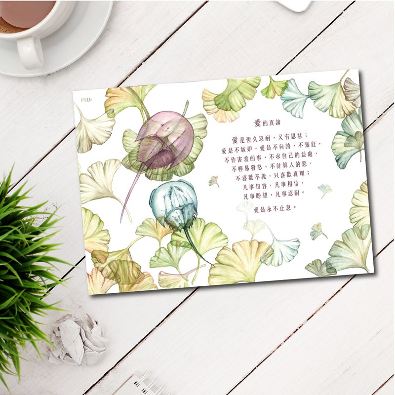 金苹果 手绘万用明信片 含信封 - 卡片/明信片 - 纸 多色
