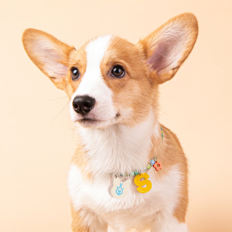 EVERYDAY NECKLACE 宠物项圈 - 定制化宠物像 + 字母 - 项圈/牵绳 - 防水材质 