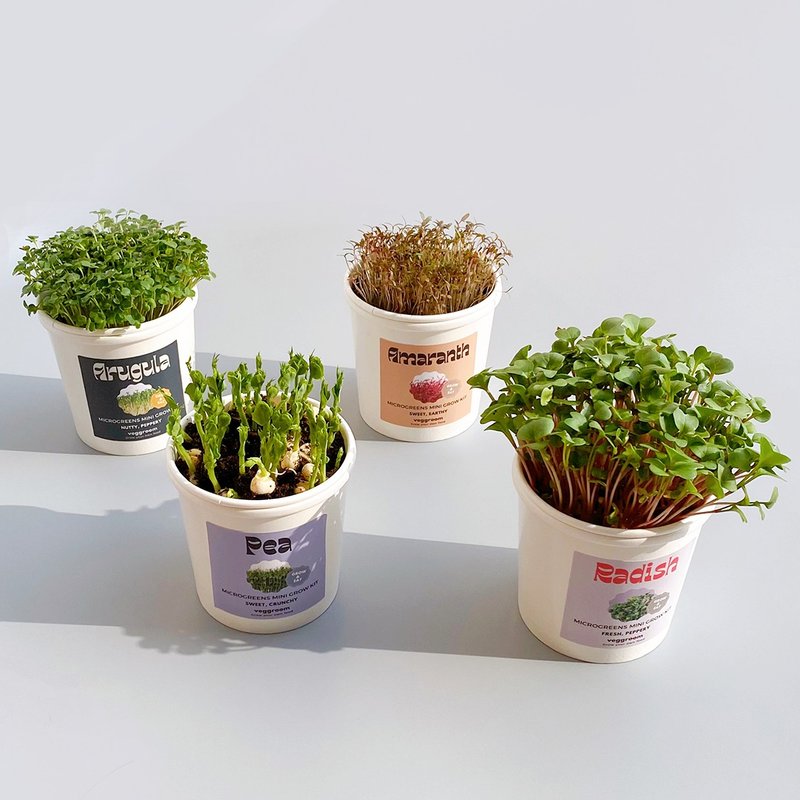 microgreens自动浇水种植杯种菜盆栽 环保植物礼物|企业大量定制 - 植栽 - 纸 白色