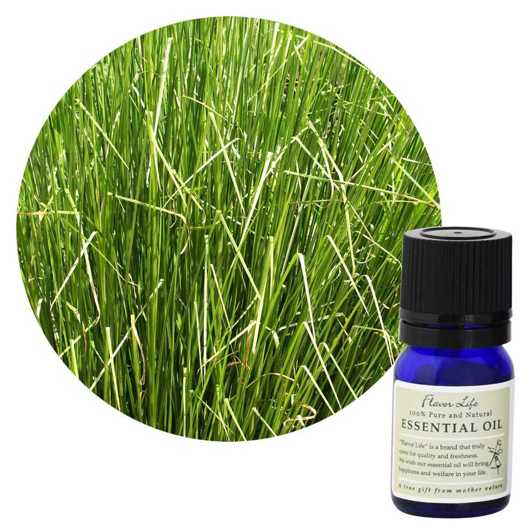 【岩兰草精油】Vetiveria zizanoides (Vetiver) - 香薰/精油/线香 - 精油 绿色