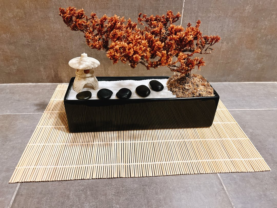 纯自然 日式 侘寂风wabi-sabi 赤贫风 禅庭盆栽 枯山水 zen 干燥 - 植栽/盆栽 - 植物．花 橘色