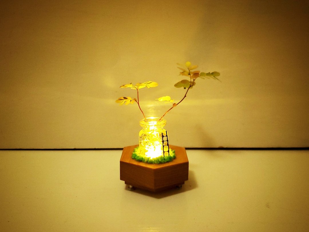 Plant2 A lamp that grows a small life - 灯具/灯饰 - 木头 咖啡色