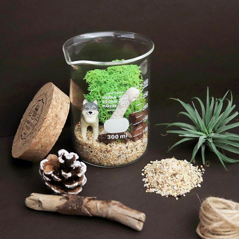 【让我自己挑选】08实验烧杯瓶 / 桌上型微造景盆栽 简易版 - 植栽 - 植物．花 