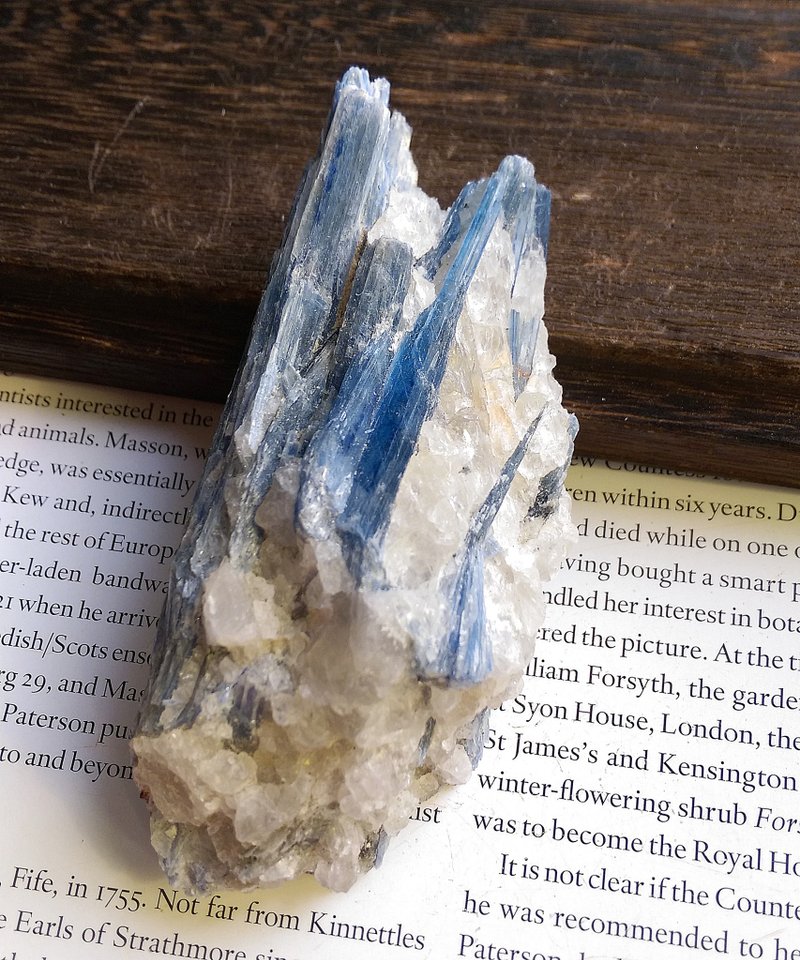 Kyanite 巴西产地 蓝晶石 石英共生矿 天然矿石 原矿 - 摆饰 - 其他材质 