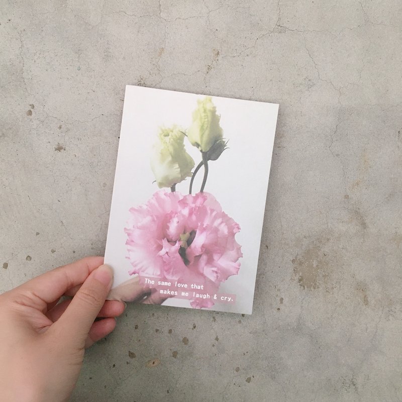 同ㄧ份爱 让我笑也让我哭 桔梗花明信片daily card卡片 花摄影 - 卡片/明信片 - 纸 