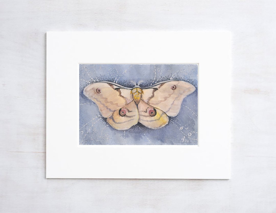 Moth Painting Night Butterfly Original Art Insect Watercolor Hand-Painted - 海报/装饰画/版画 - 纸 透明