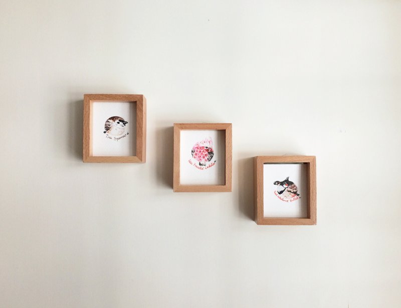 手绘波波雀插画 - 摆饰 - 纸 咖啡色