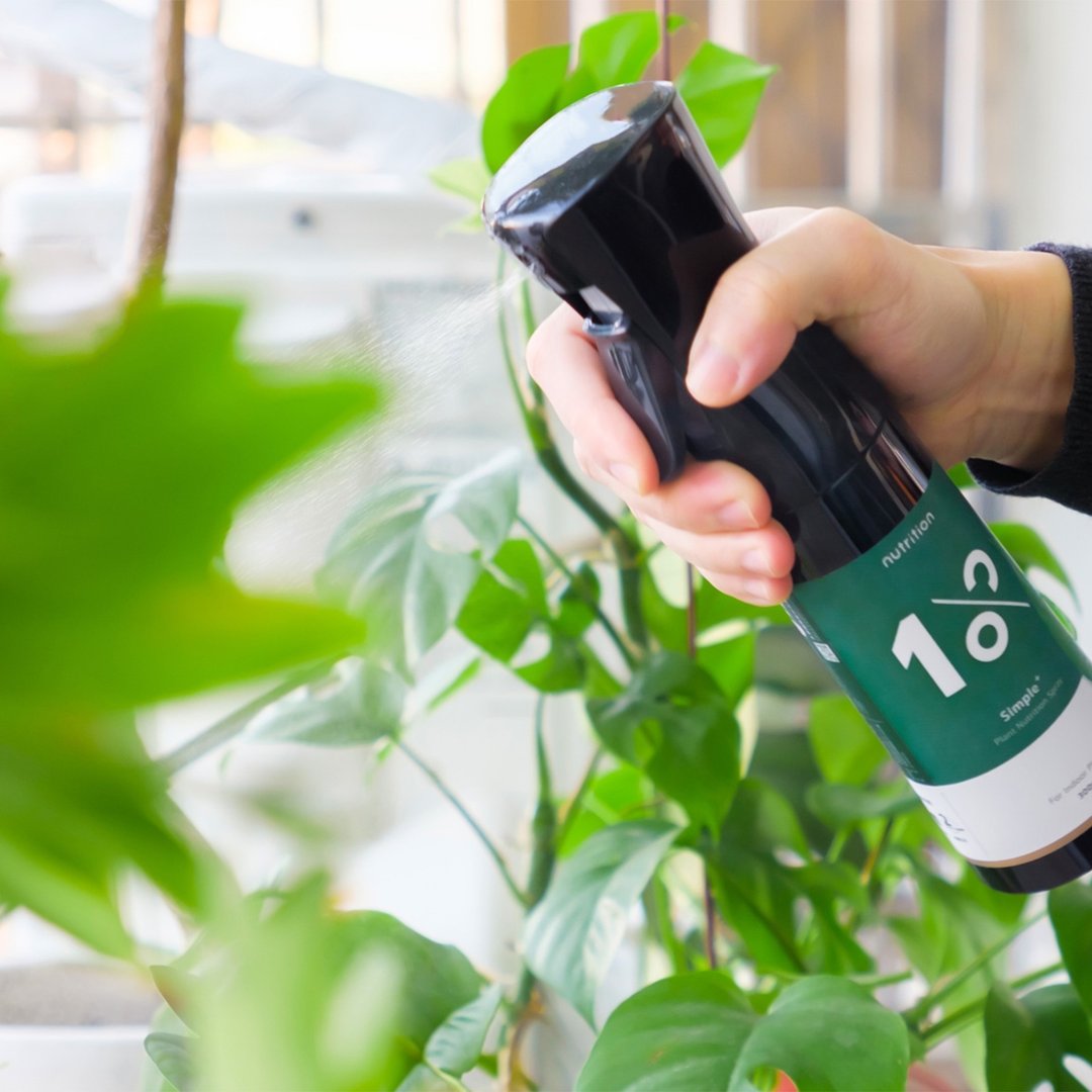 │ 叶面肥料 │ 1%植物保养喷雾 - 显色茁壮 天然萃取 宠物友善 - 植栽/盆栽 - 塑料 黑色