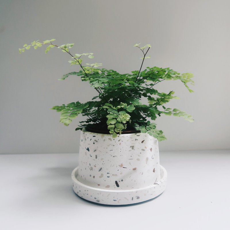 TERRAZZO 磨石子 | 暮色迷雾梯形水泥盆器・花盆 - 花瓶/陶器 - 水泥 白色