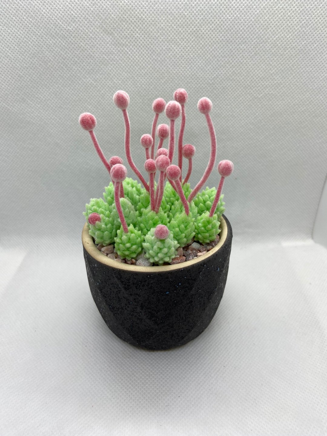 仿真多肉盆栽-瑞典魔南/黏土手作 - 植栽/盆栽 - 植物．花 绿色