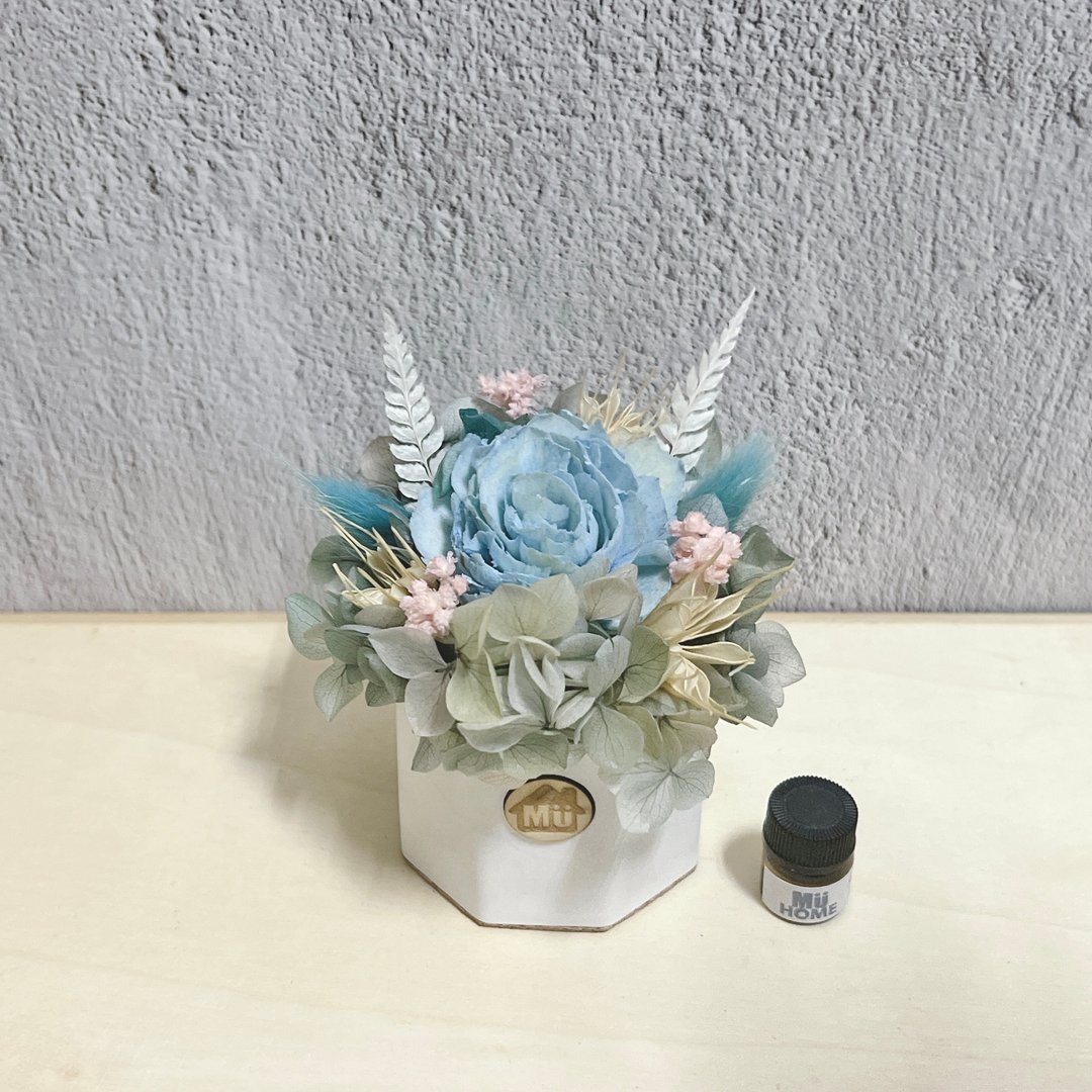 毕业季首选 索拉花香氛小盆花 干燥花 香氛石 附1ml香精油 - 干燥花/捧花 - 植物．花 