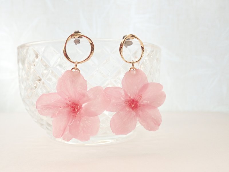 Real cherry blossom pierced earrings - 耳环/耳夹 - 植物．花 粉红色