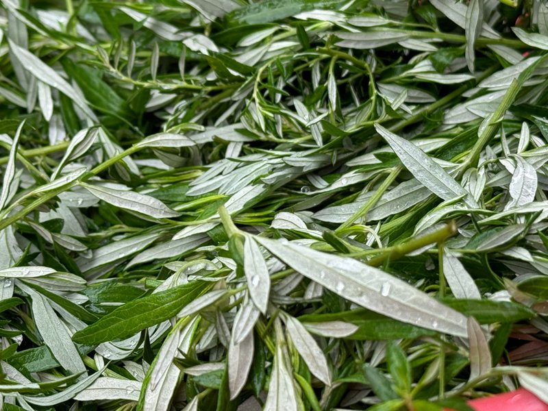 【多入优惠】艾草平安的日常  ||  净化毛孔与放松 - 肥皂/手工皂 - 植物．花 绿色