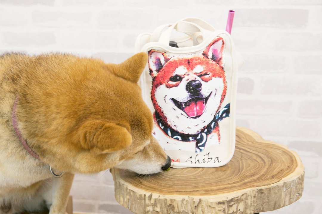 柴犬大学 - 啾咪柴犬水壶袋 饮料提袋 冰霸杯 柴犬文创商品 送礼 - 随行杯提袋/水壶袋 - 棉 多色