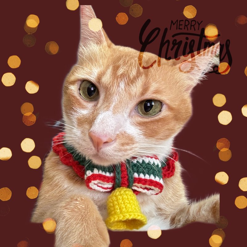 圣诞叮叮当__毛线编织宠物领巾 - 项圈/牵绳 - 其他人造纤维 多色