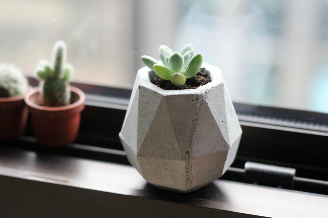 小水滴 | 水泥几何盆器 花器 空凤架 - 植栽/盆栽 - 水泥 灰色