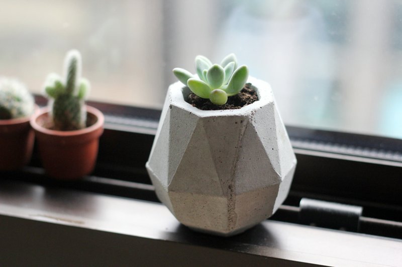 小水滴 | 水泥几何盆器 花器 空凤架 - 植栽/盆栽 - 水泥 灰色