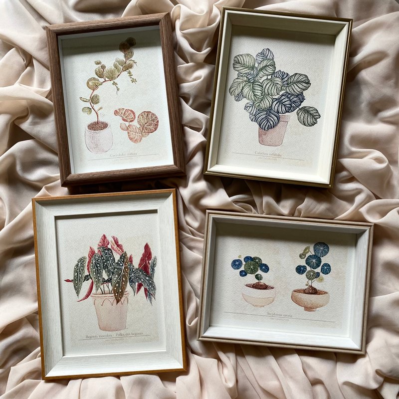 复古的观叶植物图鉴小海报 - 含框组 - 卡片/明信片 - 纸 