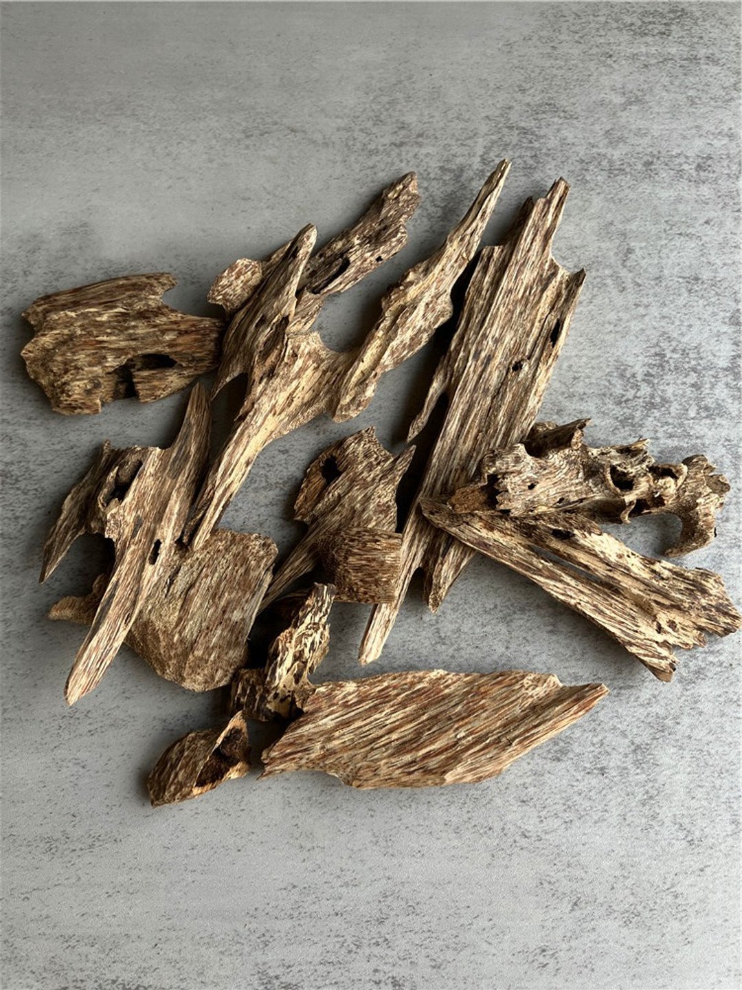 【上炉小料】【稀少款】野生芽庄沉香虫漏(随机十克) - 摆饰 - 木头 