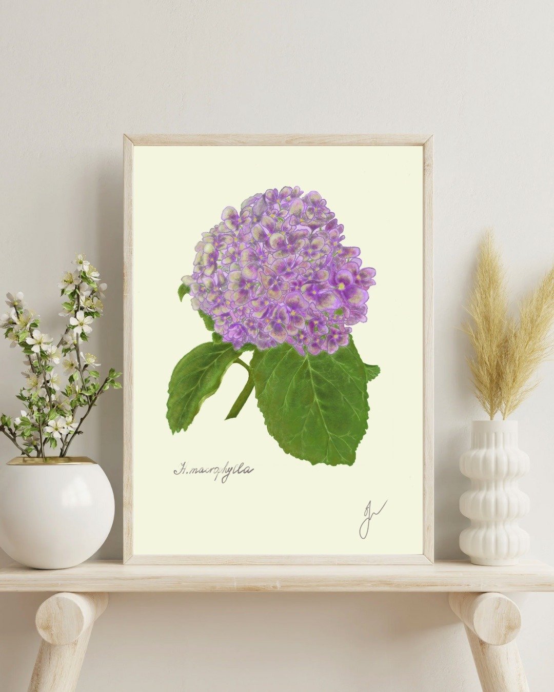 绣球花植物画 手绘花卉挂画 - 电子手绘真人画像/绘画/插画 - 其他材质 