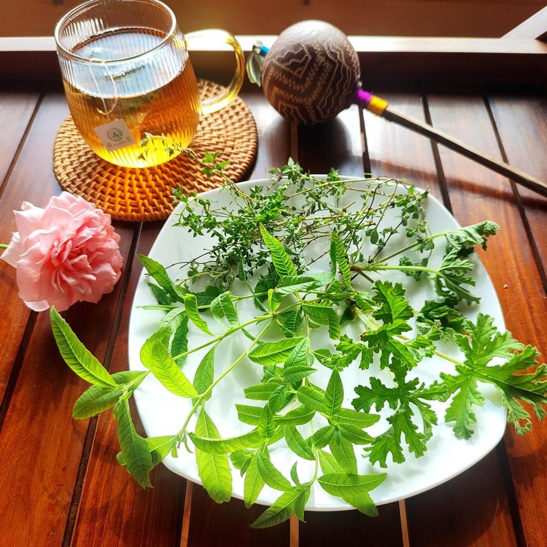 柠檬马鞭花茶包-农园4种香草-柠檬马鞭+玫瑰天竺葵+马郁兰+胡椒薄 - 茶 - 植物．花 