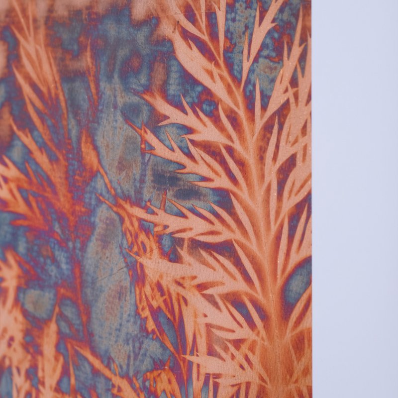 植物烧箔画  银桦  #1 - 海报/装饰画/版画 - 铜/黄铜 红色