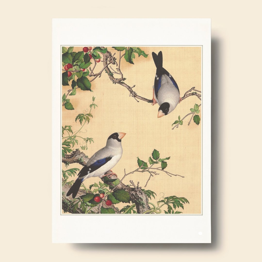 【B4 艺术画卡・B4 Poster】郎世宁・仙萼长春 樱桃桑鳲 - 海报/装饰画/版画 - 纸 卡其色