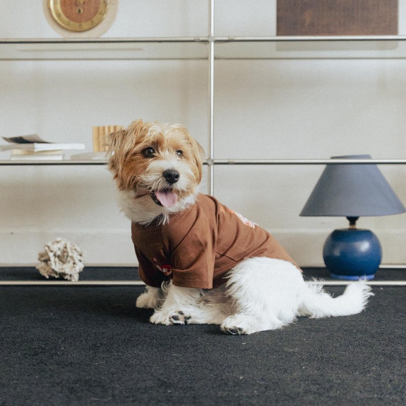 【预购】犬猫飞出宠物衣(美式咖) - 衣/帽 - 棉．麻 咖啡色