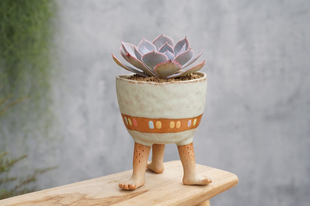 3 legged plant pot ,legged standing plant pot, succulent pot, pinch pot, ceramic - 花瓶/陶器 - 陶 多色