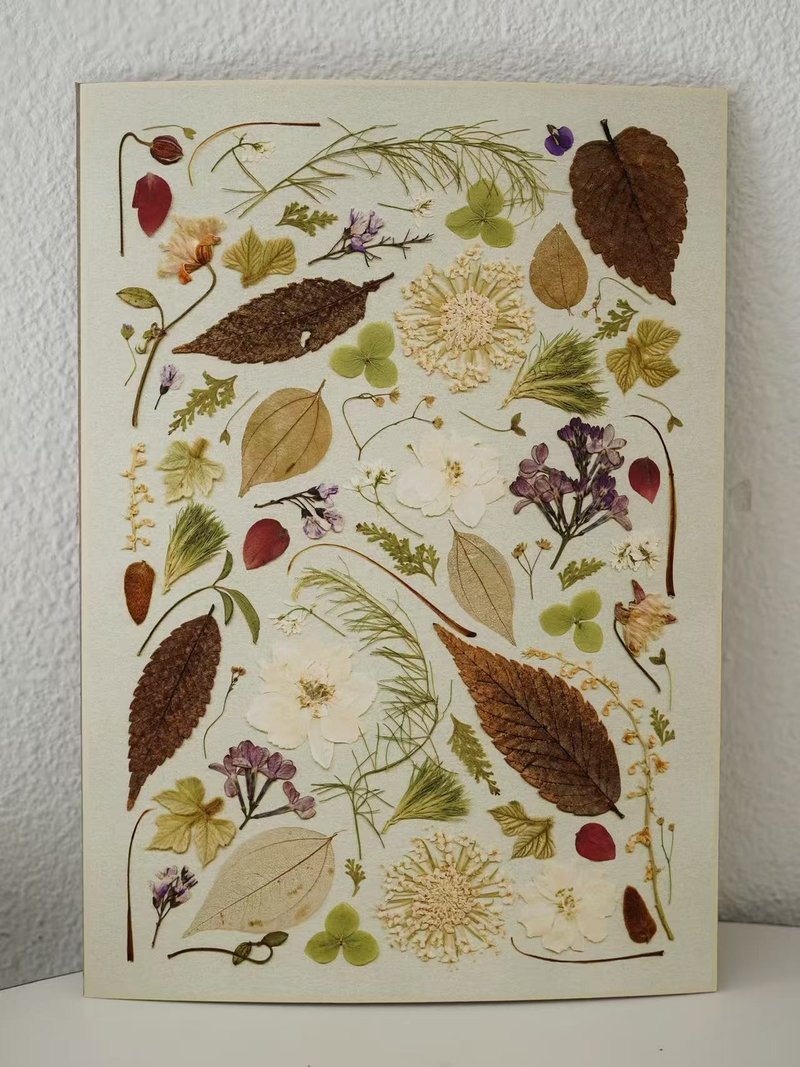 ŽIRAFA【酂白】中国宫廷服饰配色押花作品艺术微喷画装饰画芯 - 海报/装饰画/版画 - 纸 绿色