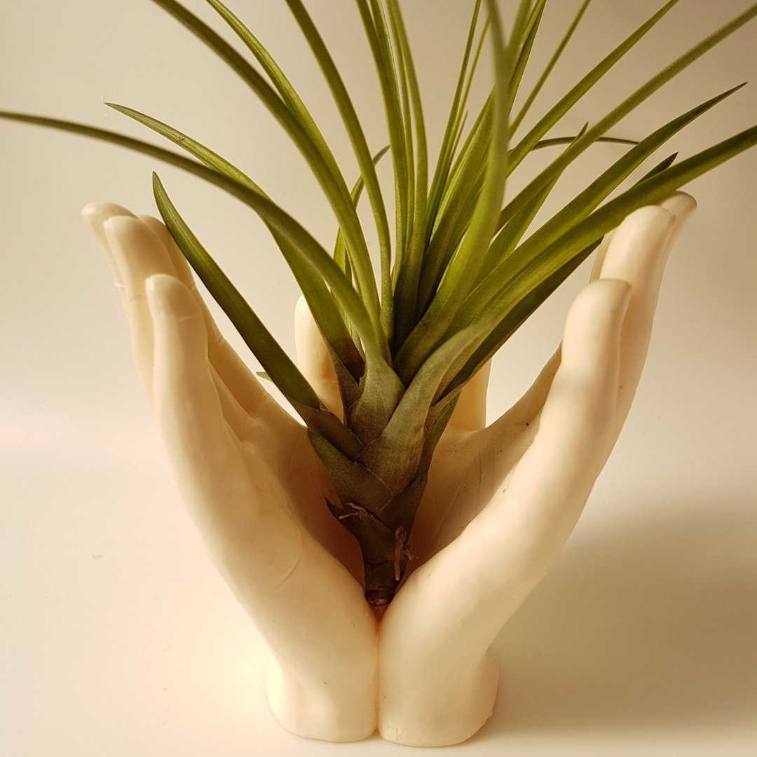 空气鳯梨花器 - "手" 护 - 植栽/盆栽 - 其他材质 银色