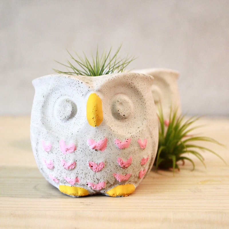 猫头鹰彩盆－多肉植物－水泥盆 - 植栽/盆栽 - 水泥 灰色