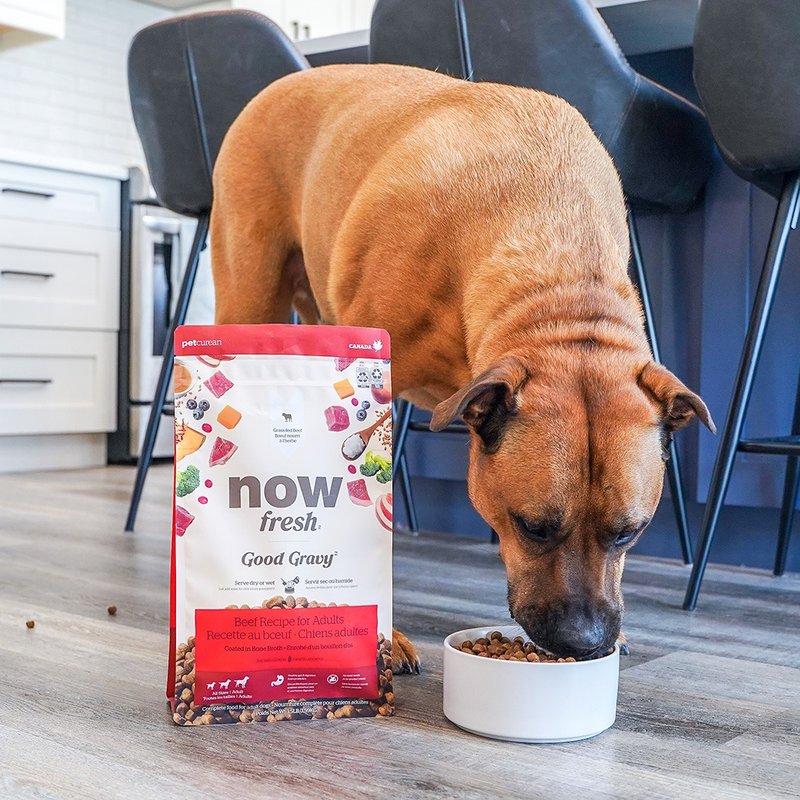 【狗主食】now 牛肉 中型成犬 高汤天然粮 干湿两吃 狗饲料 狗粮 - 狗罐头/鲜食 - 新鲜食材 