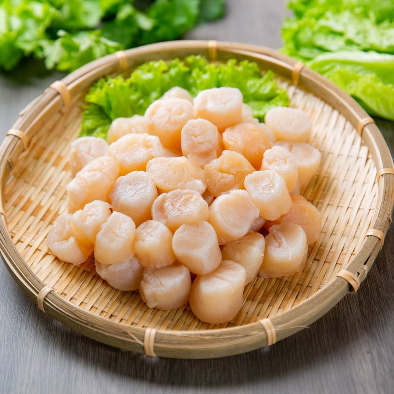 农产百宝箱-正鲜俄罗斯干贝 - 其他 - 其他材质 