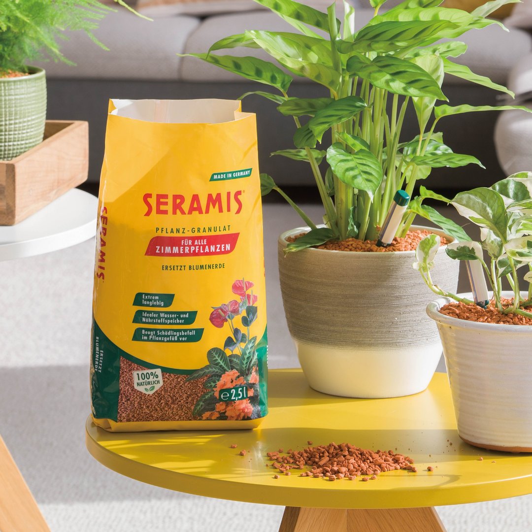 德国小红石 - Seramis 2.5L - 植栽/盆栽 - 石头 