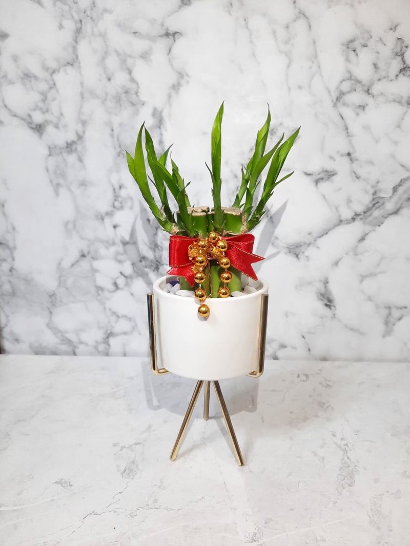 轻奢质感三角杯架 开运竹 万年青 开幕送礼 乔迁 居家摆件 礼物 - 植栽/盆栽 - 其他金属 金色