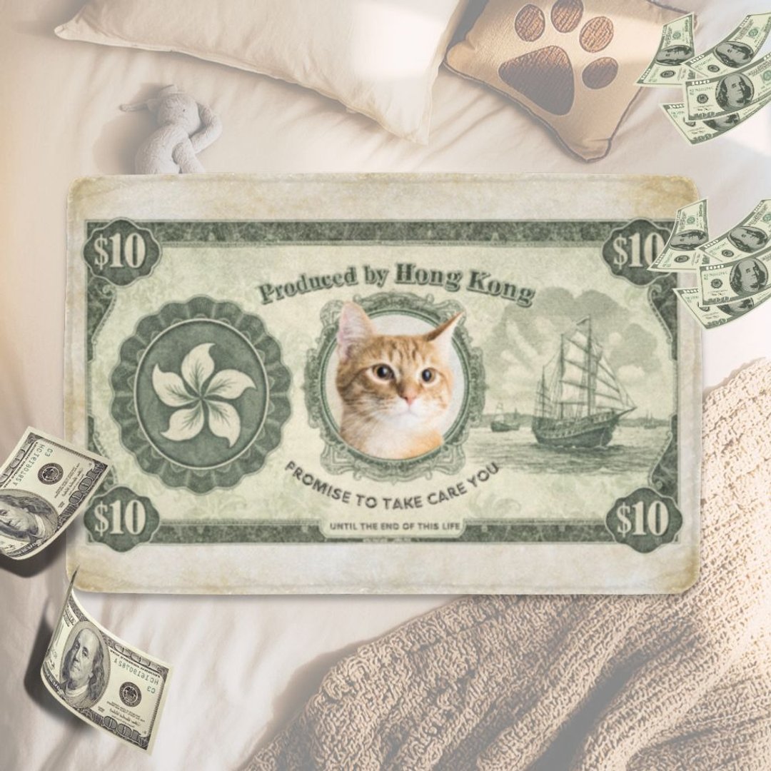 【香港特色宠物礼物】港币宠物钞票订制 毛孩专属 Dollar Bill - 订制抱枕/饰品 - 聚酯纤维 绿色