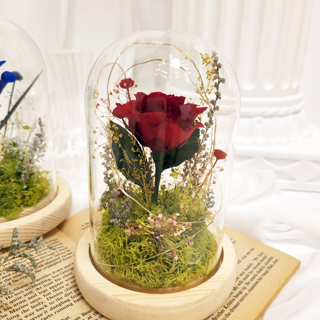 小王子夜灯 红色永生花钟 玻璃钟罩 永生花 干燥花 永生花夜灯 - 干燥花/捧花 - 植物．花 红色