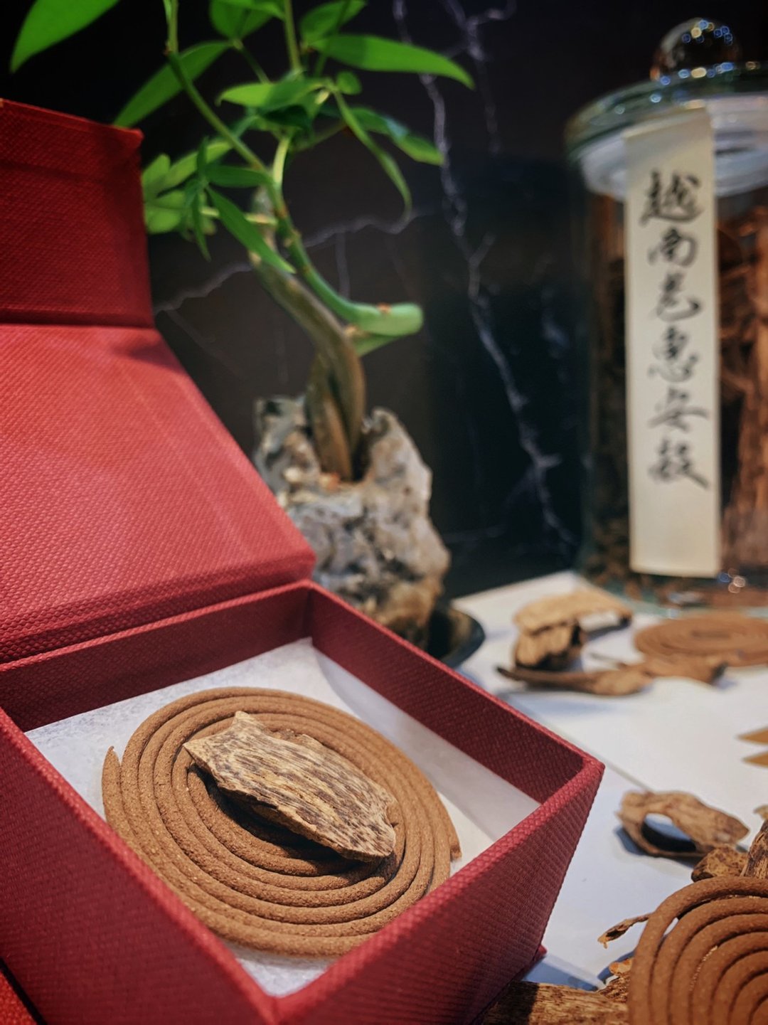 越南老惠安盘香/原料 - 香薰/精油/线香 - 植物．花 咖啡色