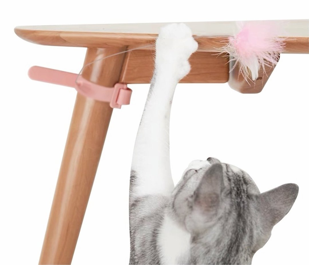 绑带项圈型懒人逗猫棒 by PettoFun 玩乐系列 - 玩具 - 塑料 