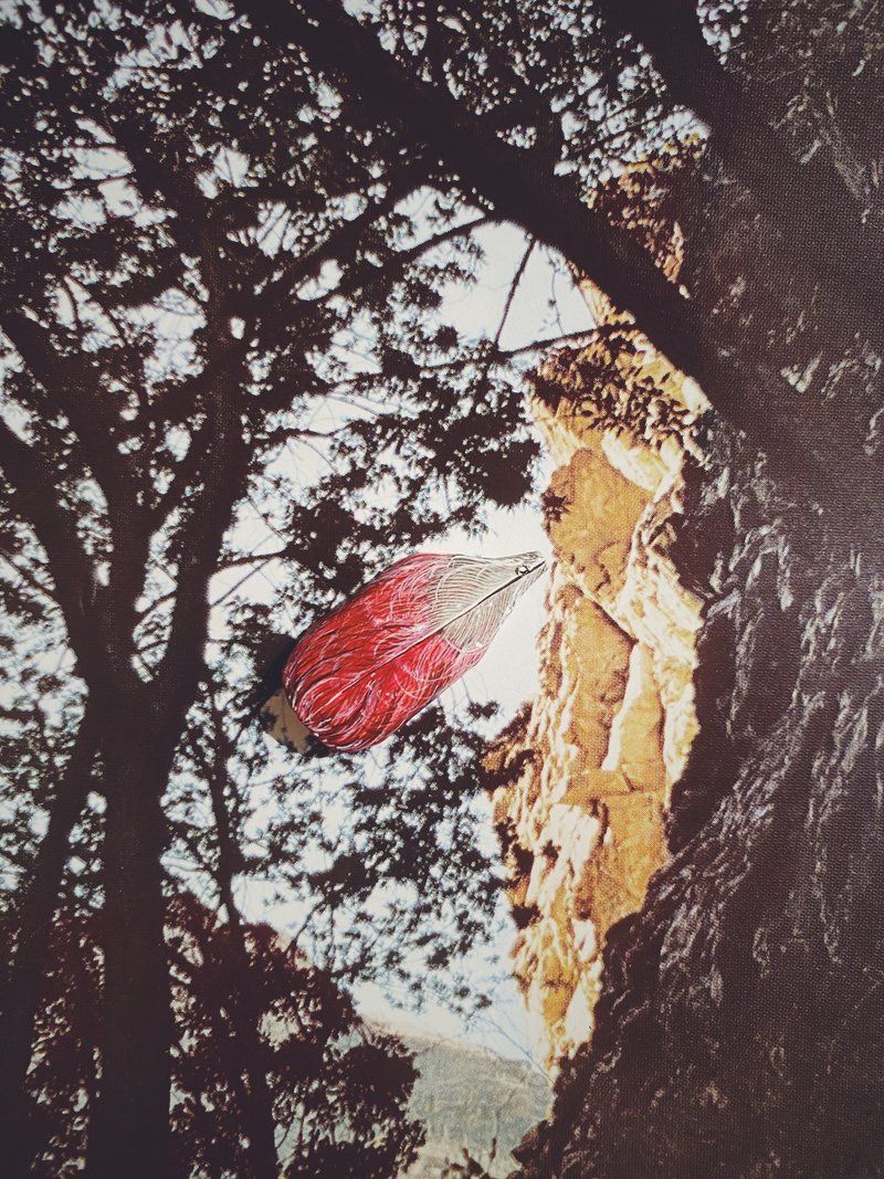 木刻手绘坠饰 - 羽毛 - 其他 - 木头 红色