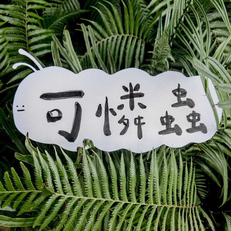 可怜虫特卖会 - 库存新品出清 - 女装上衣 - 棉 多色