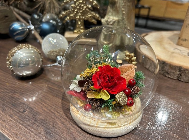 圣诞玻璃花盅/永生花花盅/玫瑰花盅/圣诞交换礼物/永生花盅罩/玻 - 摆饰 - 玻璃 