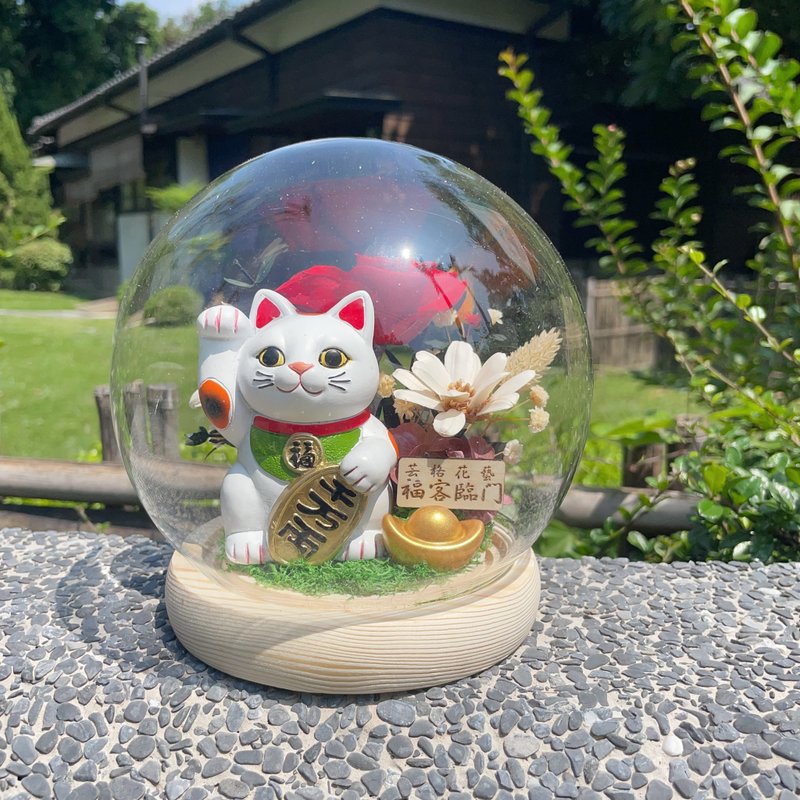 限量款 一猫生财 好运常在 招财猫 玫瑰Led玻璃花盅 - 干燥花/捧花 - 植物．花 多色