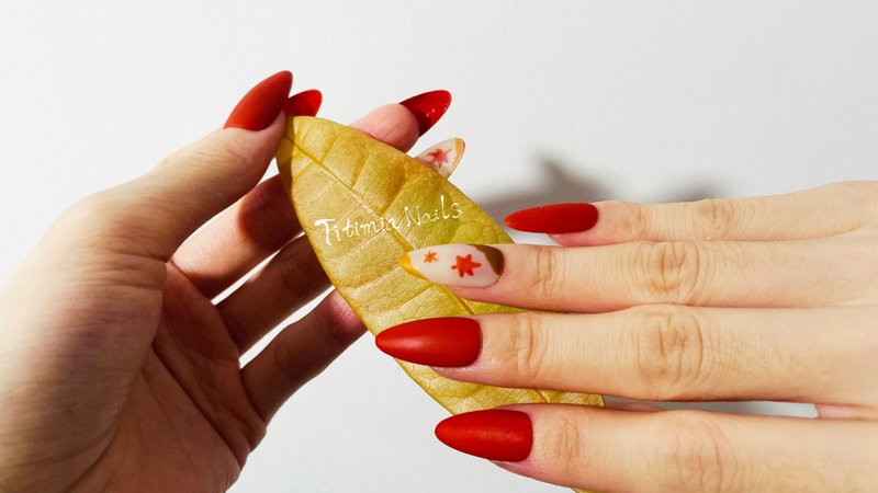 秋季氛围按压指甲 枫叶魅力指甲套装 前卫假指甲 清新秋季美甲 - 指甲油/指甲贴 - 塑料 多色