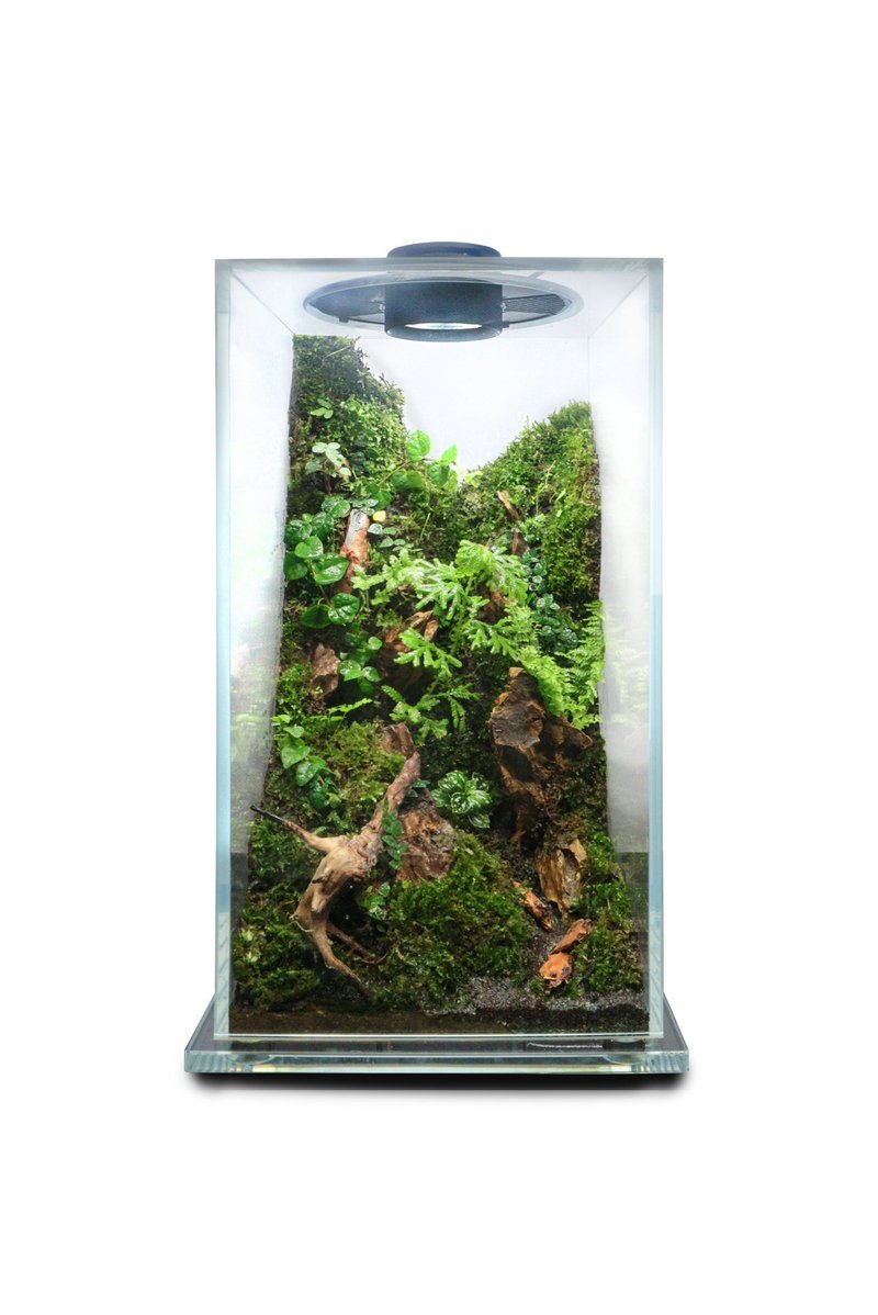 【订制】蕨醒科技生态瓶-科技方缸(中) - 植栽/盆栽 - 玻璃 