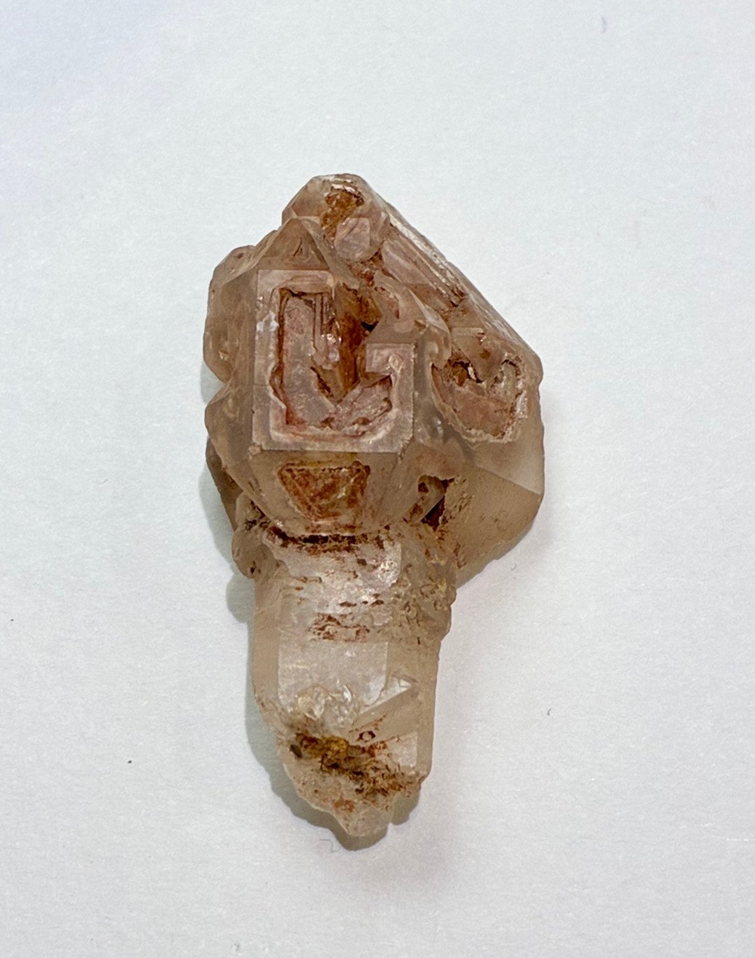 马达加斯加红泥骸骨 B - 摆饰 - 水晶 多色