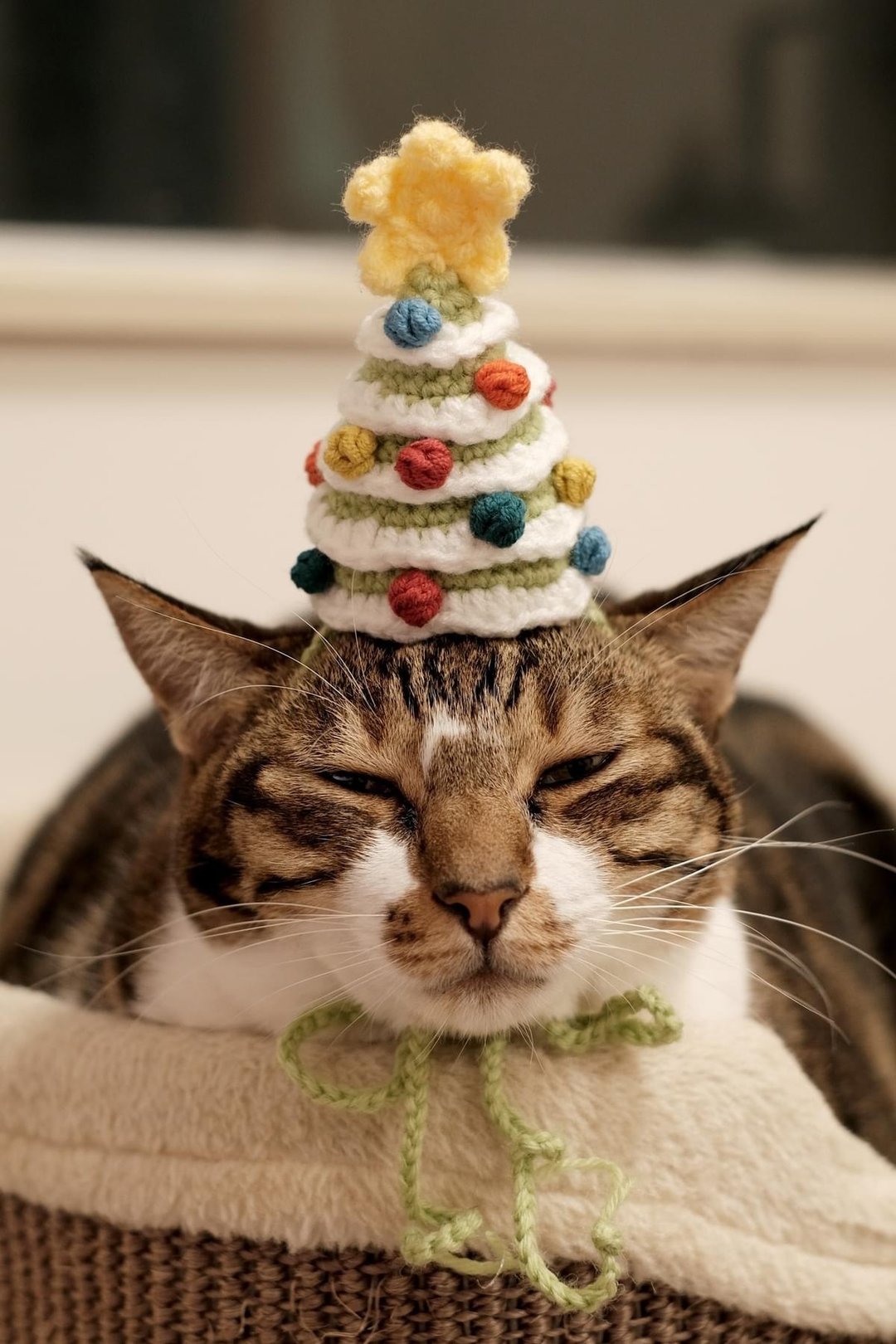 圣诞挂饰 猫草公仔 | 宠物 主子 亲子挂饰 - 针织 | 钩针 - 摆饰 - 棉 